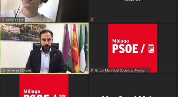 PSOE considera que el plan de recuperación de la ciudad de Málaga 