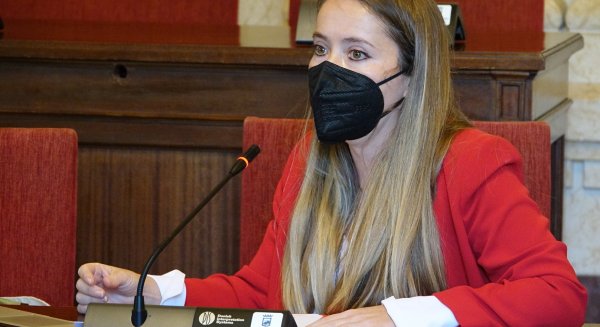 PSOE consigue que el Ayuntamiento destine el presupuesto de eventos anulados a comerciantes y familias