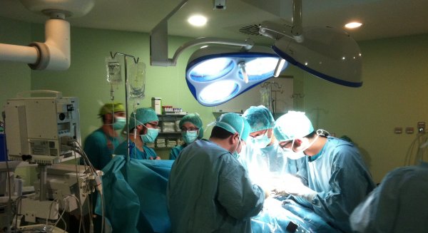 El Sector Málaga de Trasplantes alcanza los 157 trasplantes en 2020 con 102 donantes