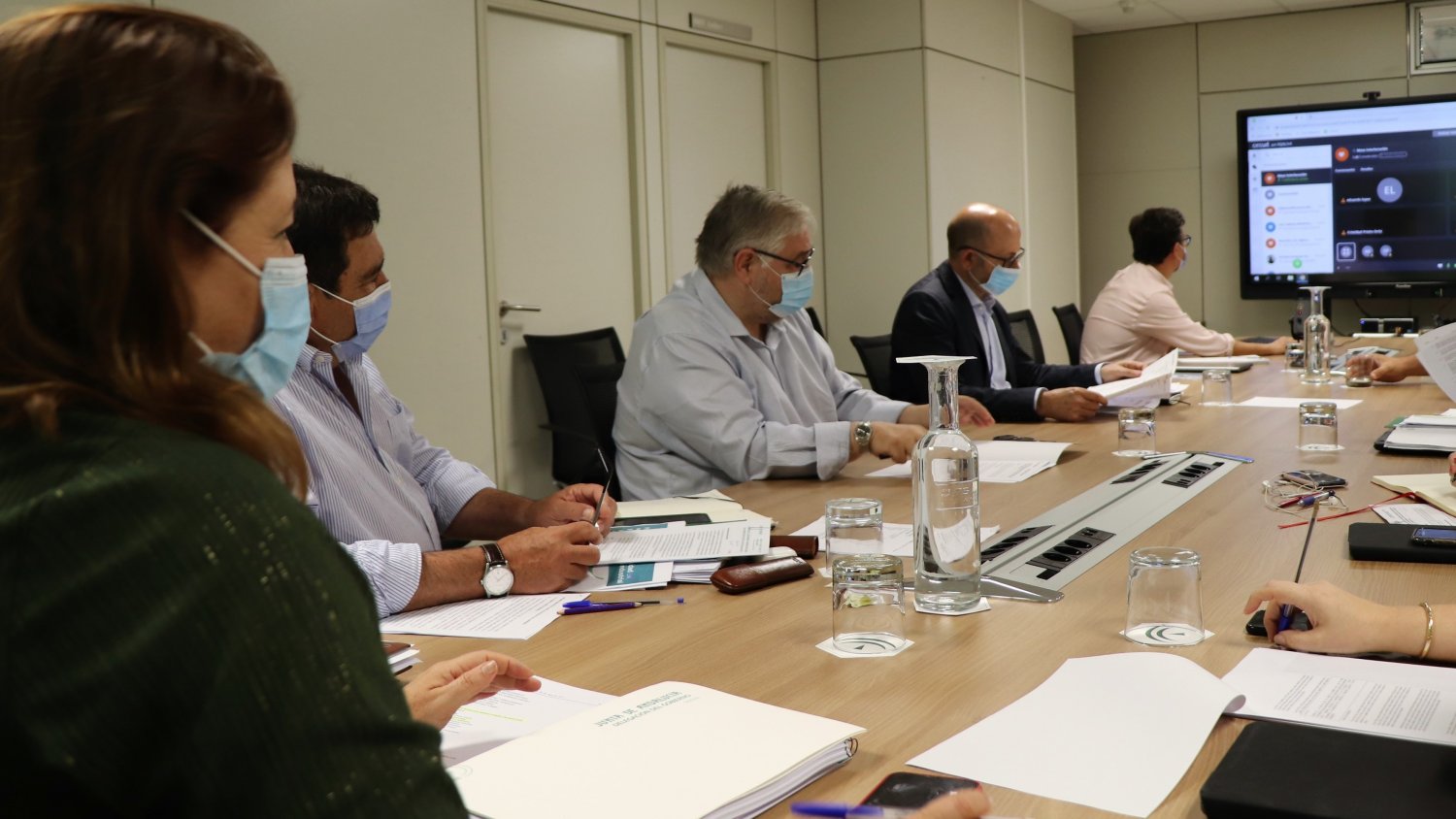Rechazo unánime de la Junta y el sector agrario andaluz al proyecto de transición de la PAC
