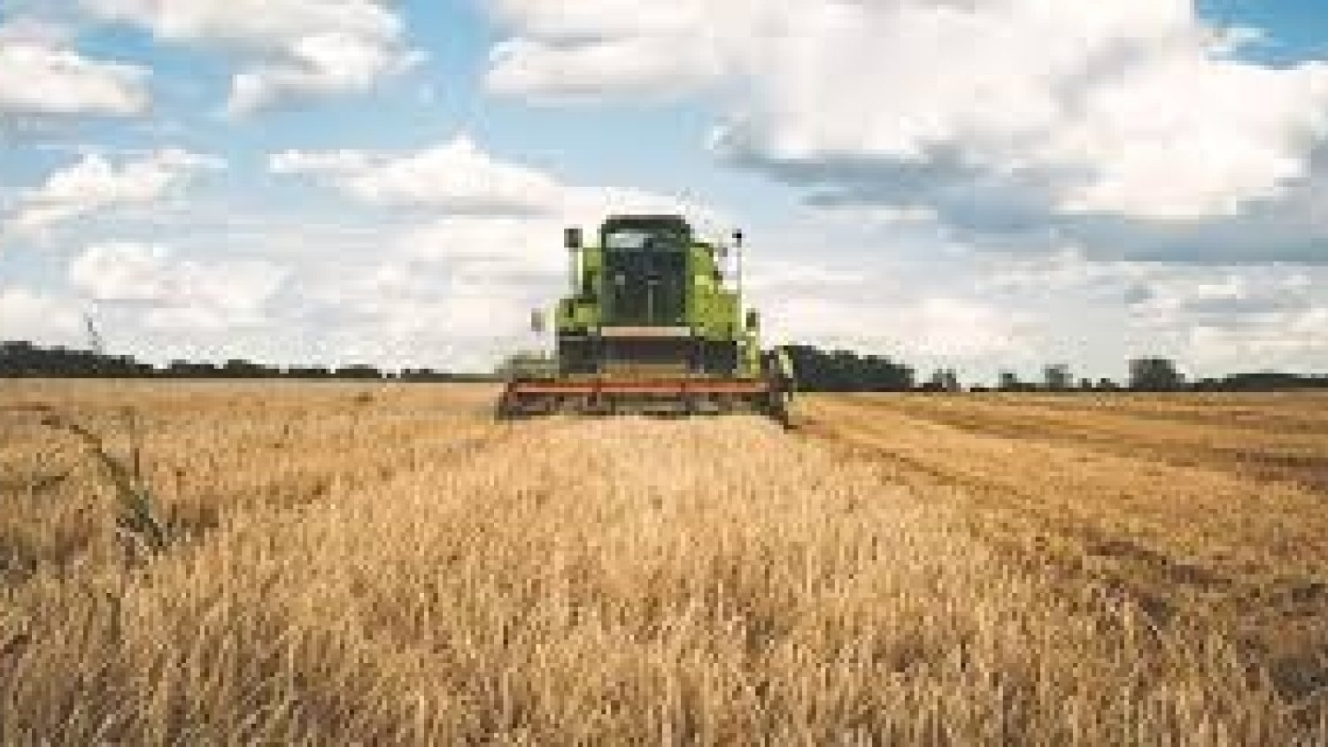 El Movimiento Social Agrario denuncia  el retraso en el pago del subsidio agrario y renta agraria