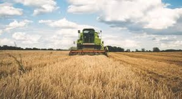 El Movimiento Social Agrario denuncia  el retraso en el pago del subsidio agrario y renta agraria