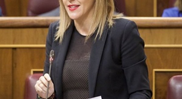 VOX es el grupo político con más iniciativas registradas en el Congreso de los Diputados