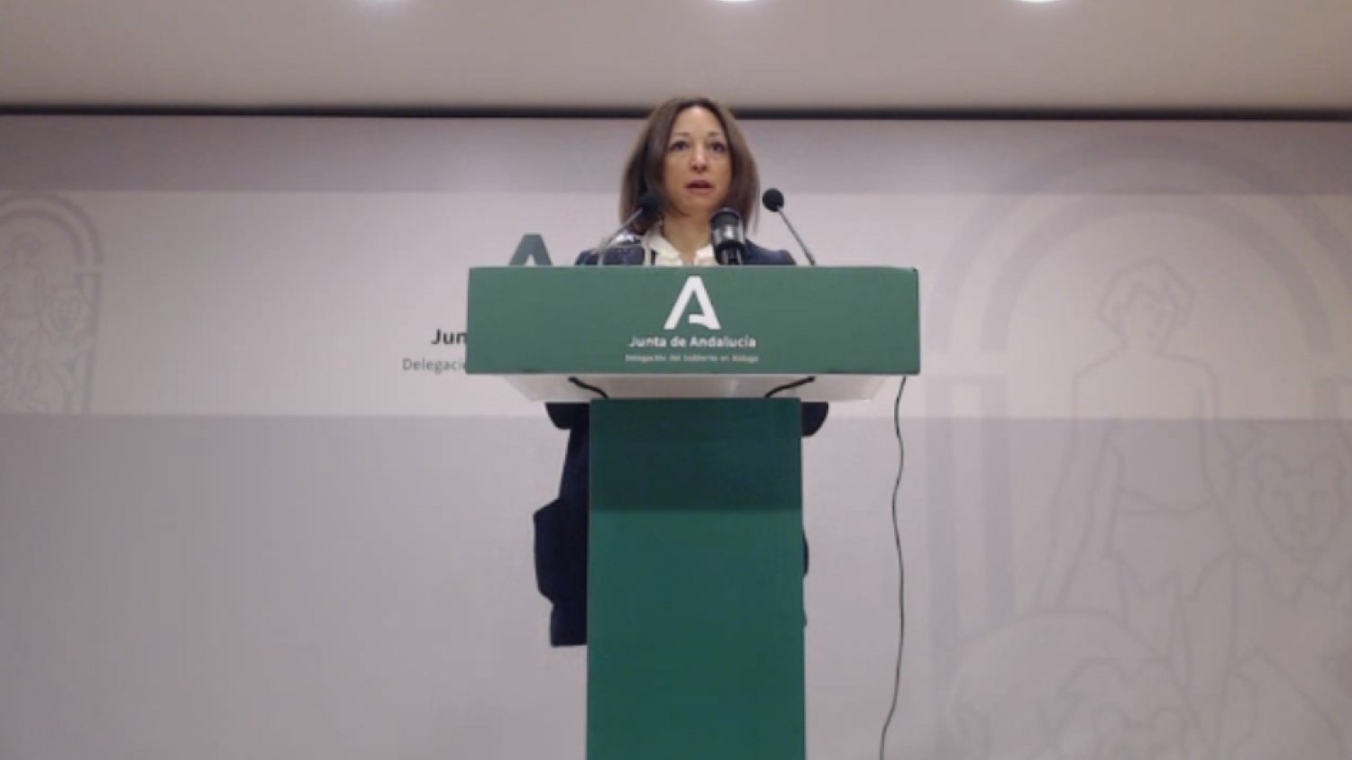 Patricia Navarro sostiene que la presión que soportan los hospitales de la provincia de Málaga es “razonable”