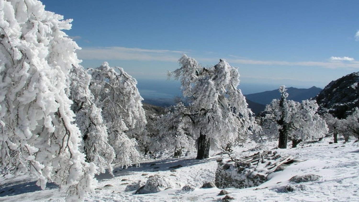 El temporal de Málaga cubre de nieve Ronda y da paso a heladas en la zona de interior por las bajas temperaturas