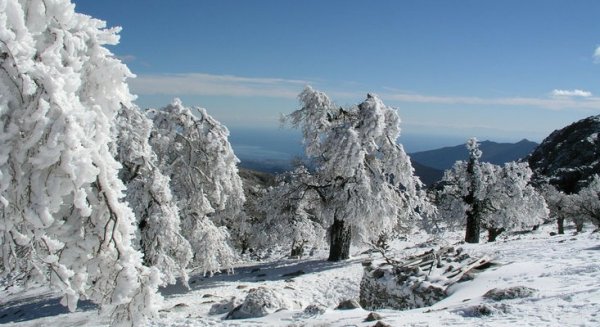El temporal de Málaga cubre de nieve Ronda y da paso a heladas en la zona de interior por las bajas temperaturas