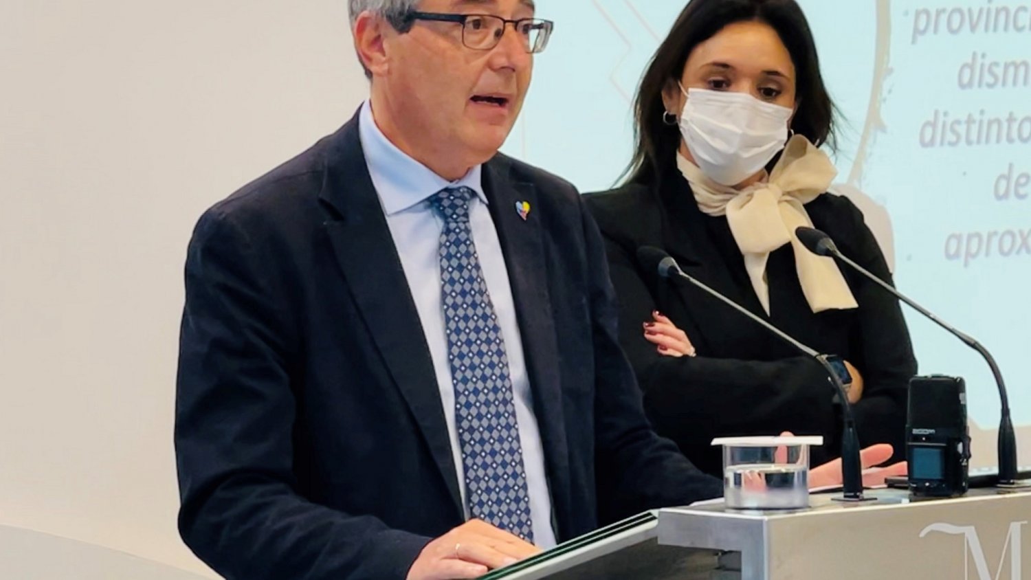 La Costa del Sol vive el peor año turístico y pierde 9,3 millones de turistas y 10.352 millones de euros