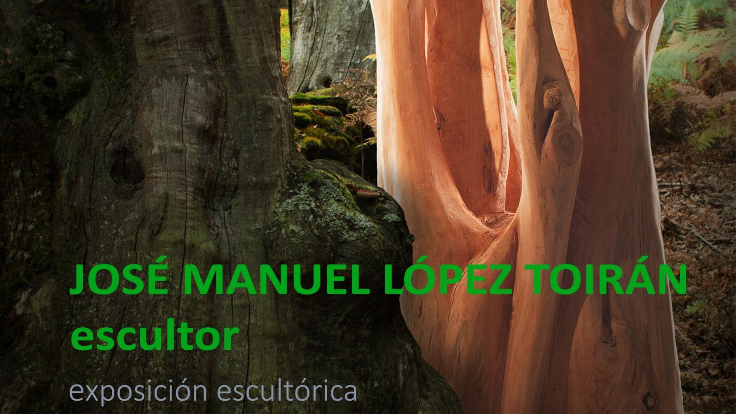 La Casa de Las Tejerinas de Estepona expone una muestra escultórica del artista José Manuel López