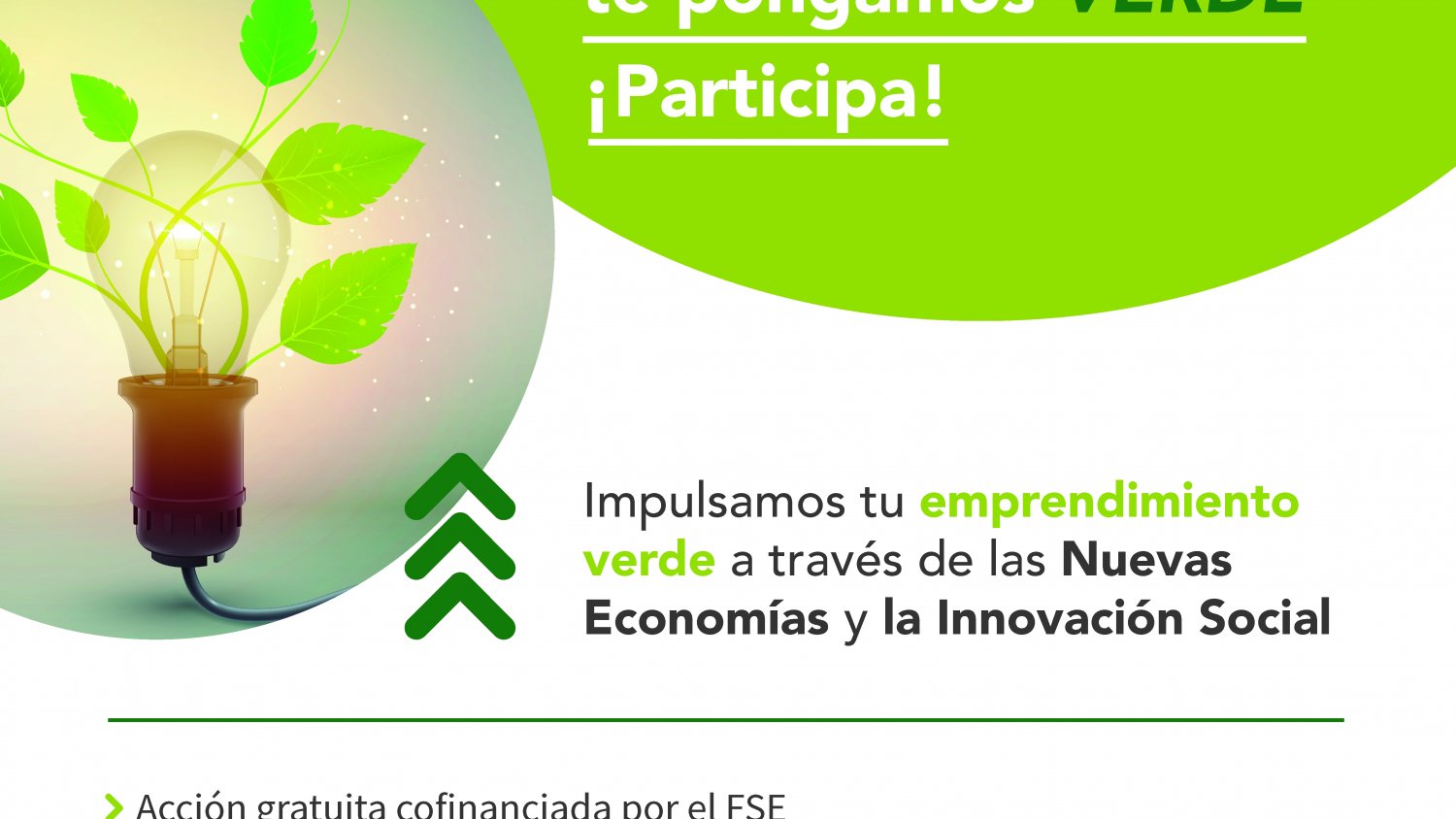 La Noria apoya el emprendimiento verde a través de un programa formativo de nuevas economías