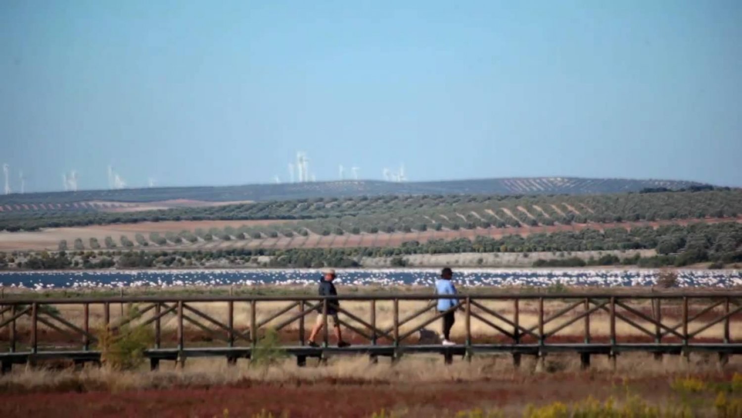 Diputación financia una obra para que los 2.600 habitantes de Fuente de Piedra vuelvan a tener agua potable