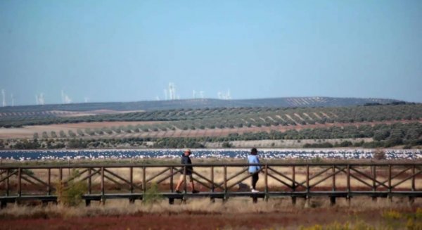 Diputación financia una obra para que los 2.600 habitantes de Fuente de Piedra vuelvan a tener agua potable