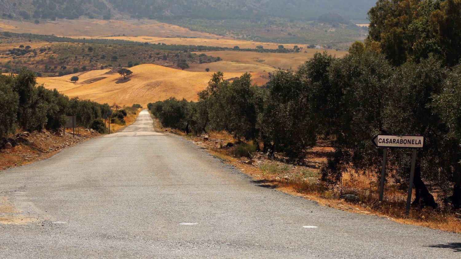 Diputación tramita la contratación de las obras de arreglo de nueve carreteras afectadas por el temporal de 2019