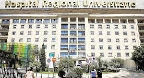 Málaga registra diez fallecido y 447 nuevos positivos por PCR en la última jornada