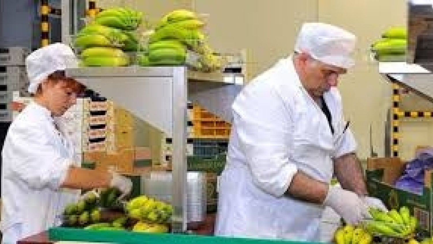 Diputación abre el plazo de las ayudas a empresas agroalimentarias para la adquisición de bienes de inversión