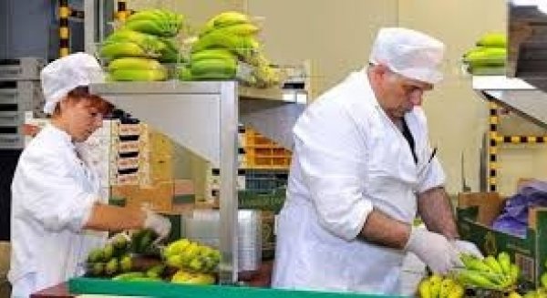 Diputación abre el plazo de las ayudas a empresas agroalimentarias para la adquisición de bienes de inversión