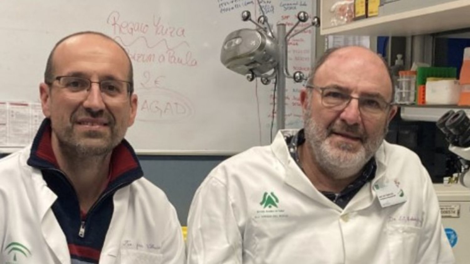 Investigadores demuestran que una vacuna del CSIC contra el Covid-19 protege del daño cerebral