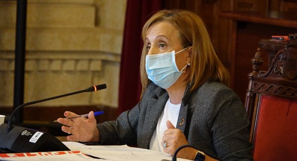 PSOE lamenta la negativa de PP y Ciudadanos a reforzar la seguridad en la Pasarela del Guadalhorce