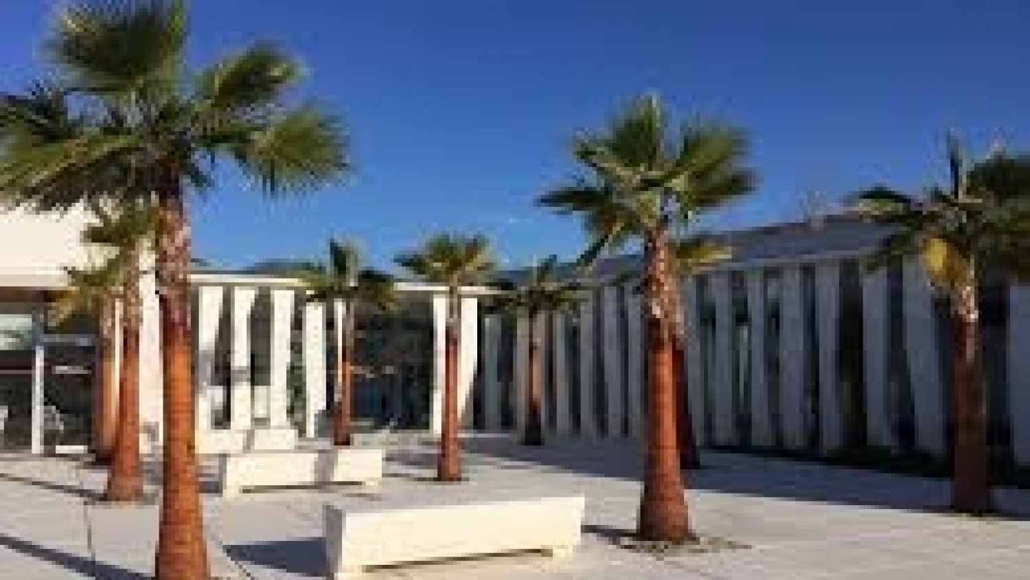 Marbella habilita un servicio extraordinario de transporte urbano para el Día de Todos los Santos