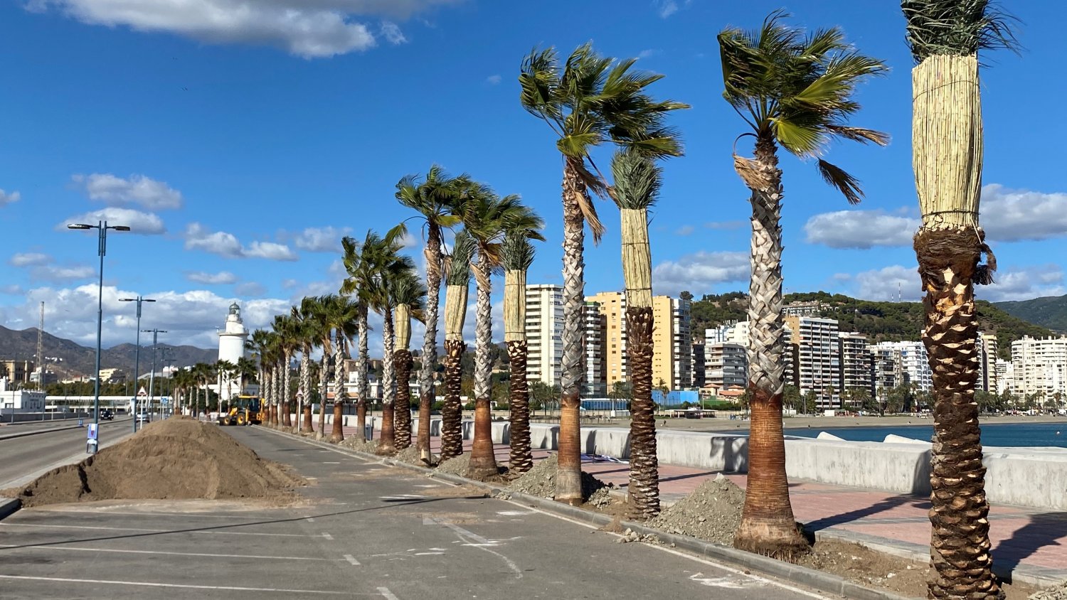 Comienzan las labores de ajardinamiento viario en el paseo de Levante