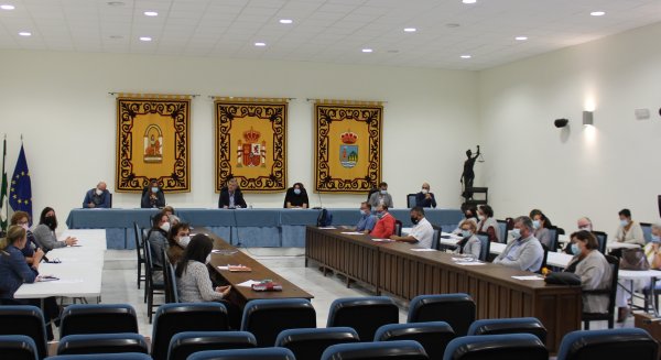 Estepona aumenta un 25% las ayudas económicas a colectivos sociales con 200.000 euros para 2021