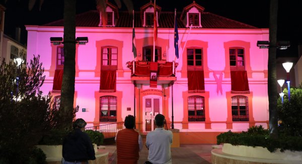 San Pedro Alcántara pone en valor sus edificios emblemáticos con la instalación de iluminación ornamental