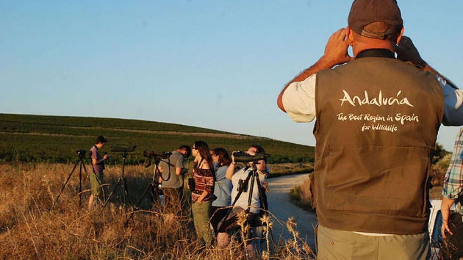 Andalucía promocionada como destino de turismo ornitológico con motivo del Global Birding Weekend