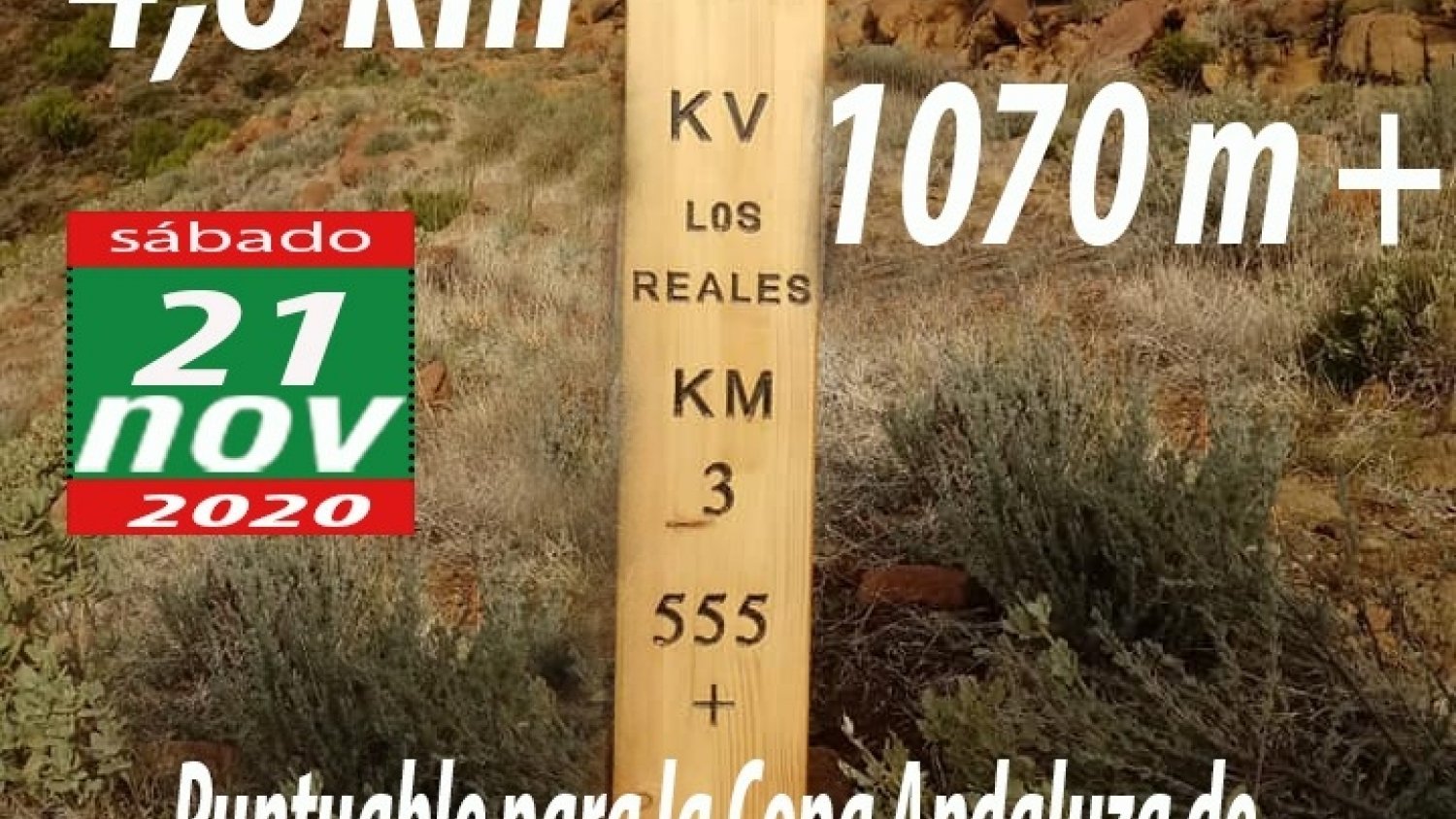 El Ayuntamiento de Estepona abre el plazo de preinscripción para participar en el II Kilómetro Vertical Los Reales