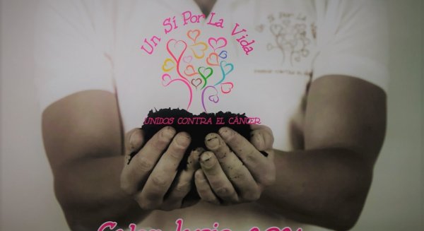 Diputación vuelve a colaborar con la asociación 'Un sí por la vida' para ayudar a las personas con cáncer