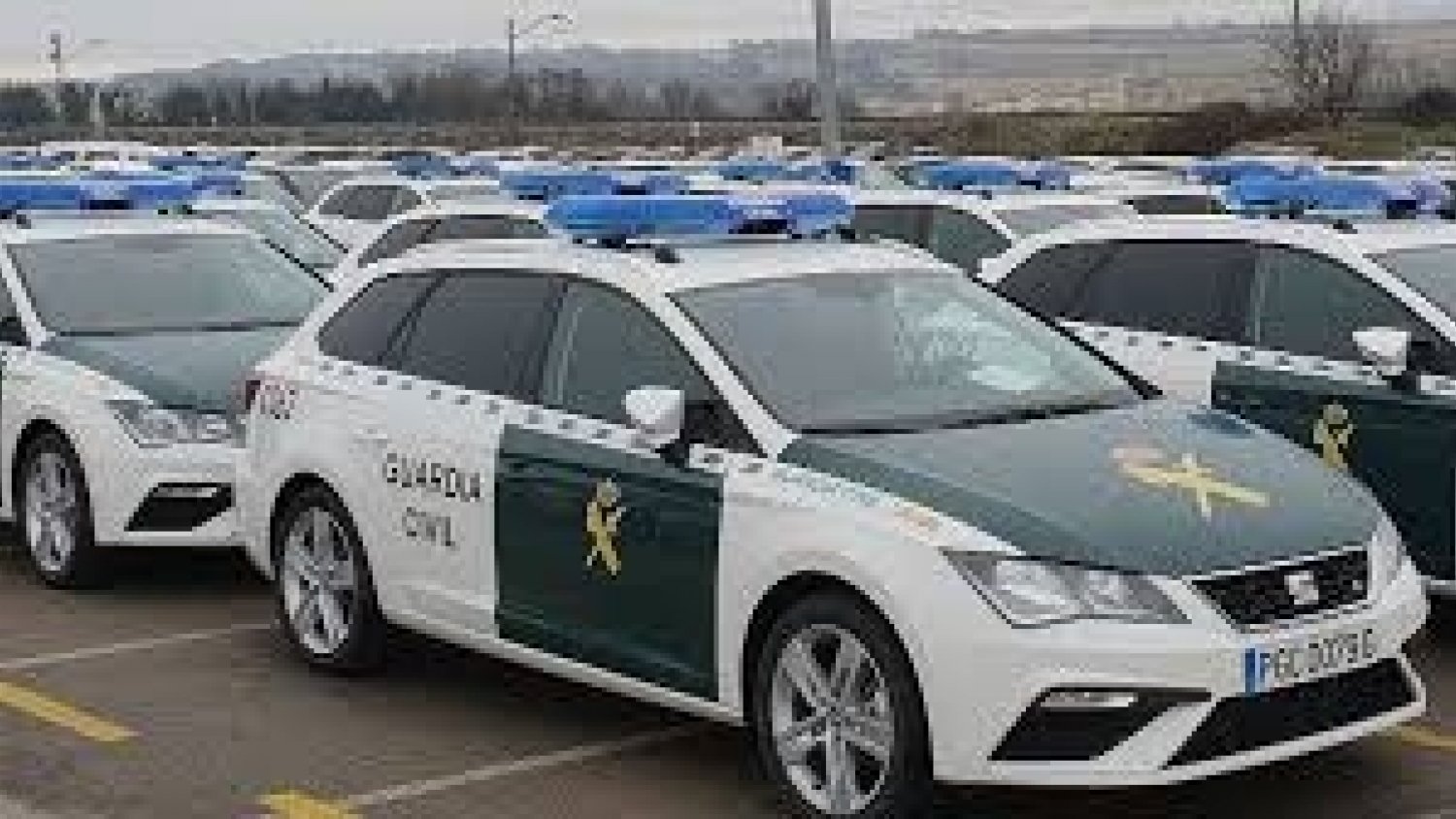 La Guardia Civil interviene 12.100 plantas de marihuana en Monda y detiene a una persona