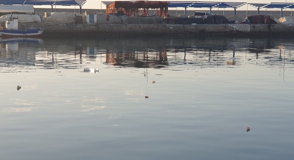 Puerto Deportivo de Estepona denuncia ante la APPA y Medio Ambiente la suciedad de la zona pesquera