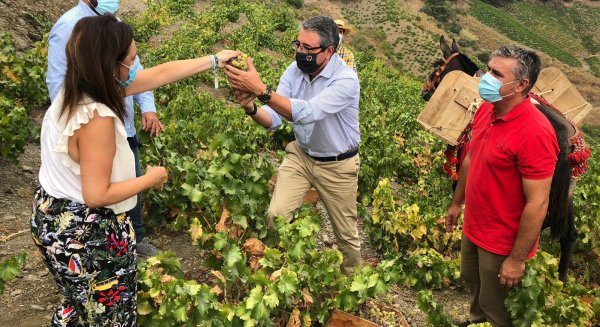 Diputación se ofrece a liderar el impulso del SIPAM de la uva pasa y crea una mesa sectorial