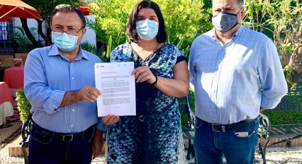 PSOE lamenta que las urgencias de Marbella y San Pedro 