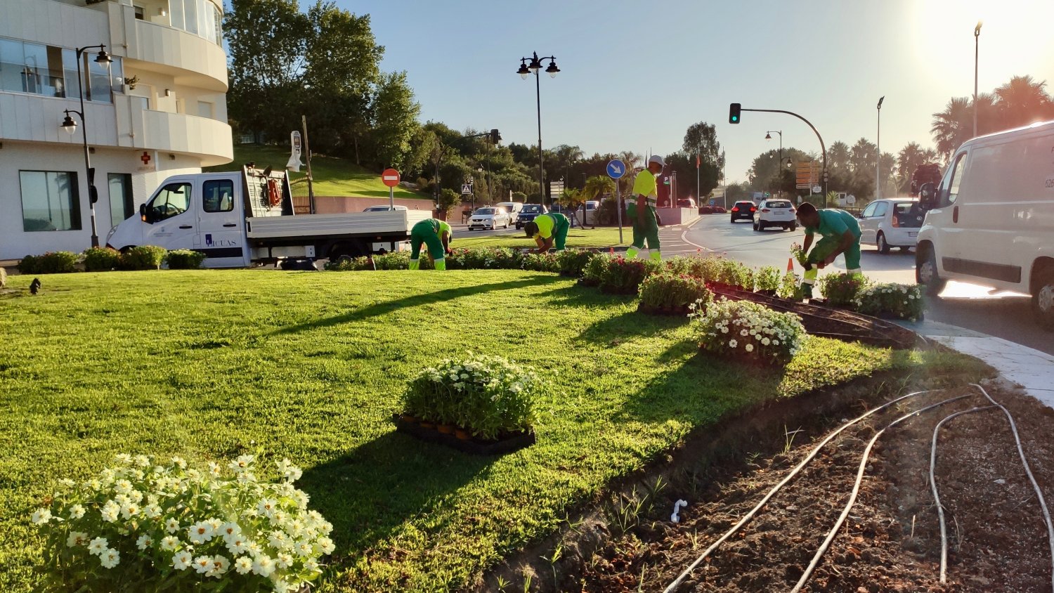 El Ayuntamiento de Estepona embellece con 400.000 plantas de color las zonas verdes públicas