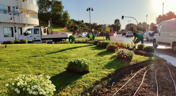 El Ayuntamiento de Estepona embellece con 400.000 plantas de color las zonas verdes públicas