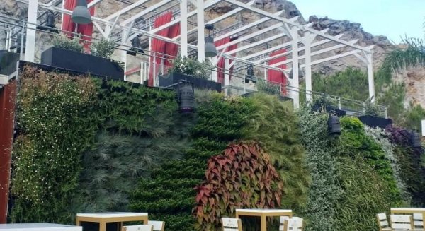 Agrojardín diseña otro año más los espacios verdes del Festival Starlite Marbella