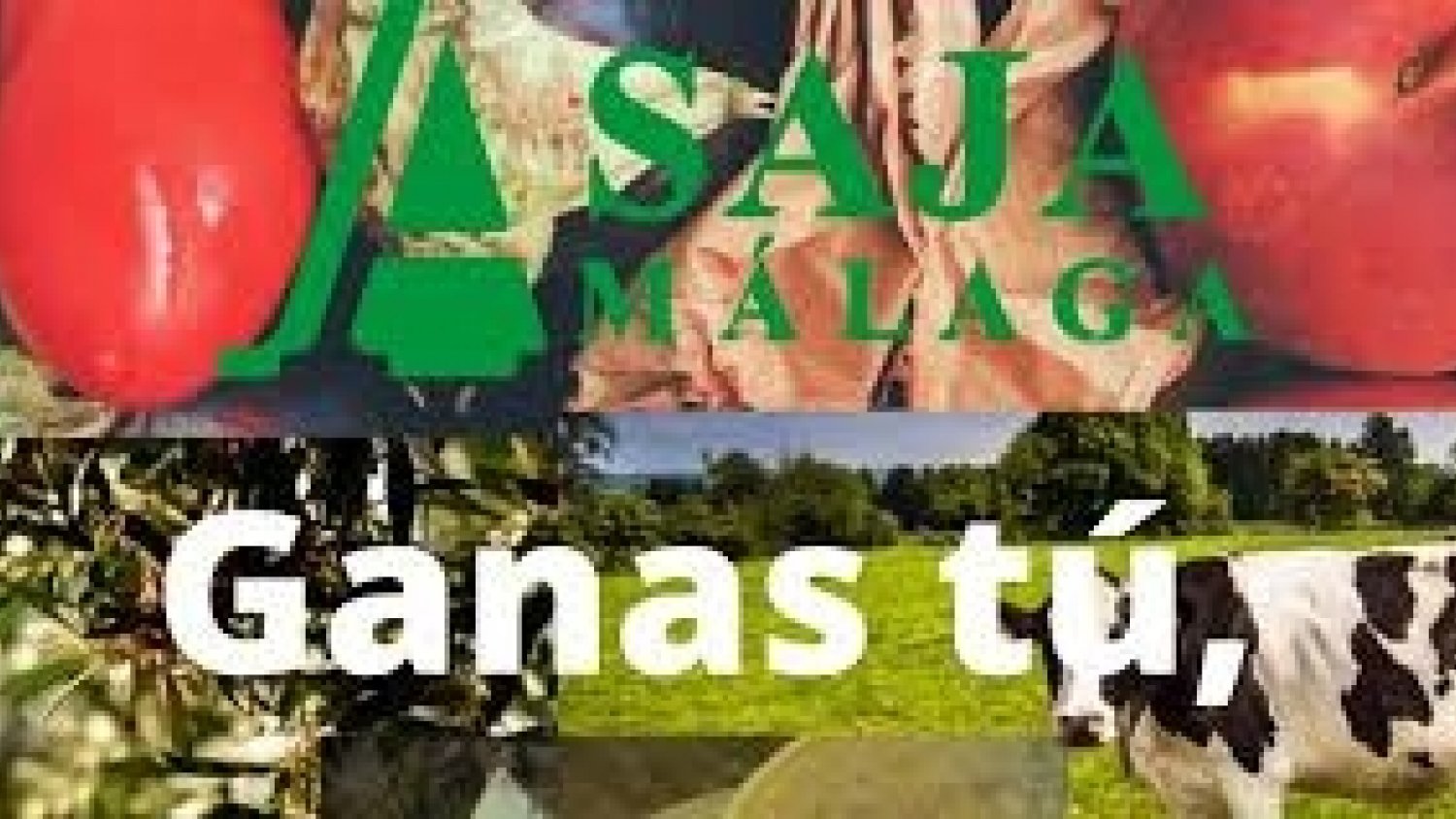 ASAJA Málaga celebra que la Junta declare Bien de Interés Cultural las rehalas y la montería