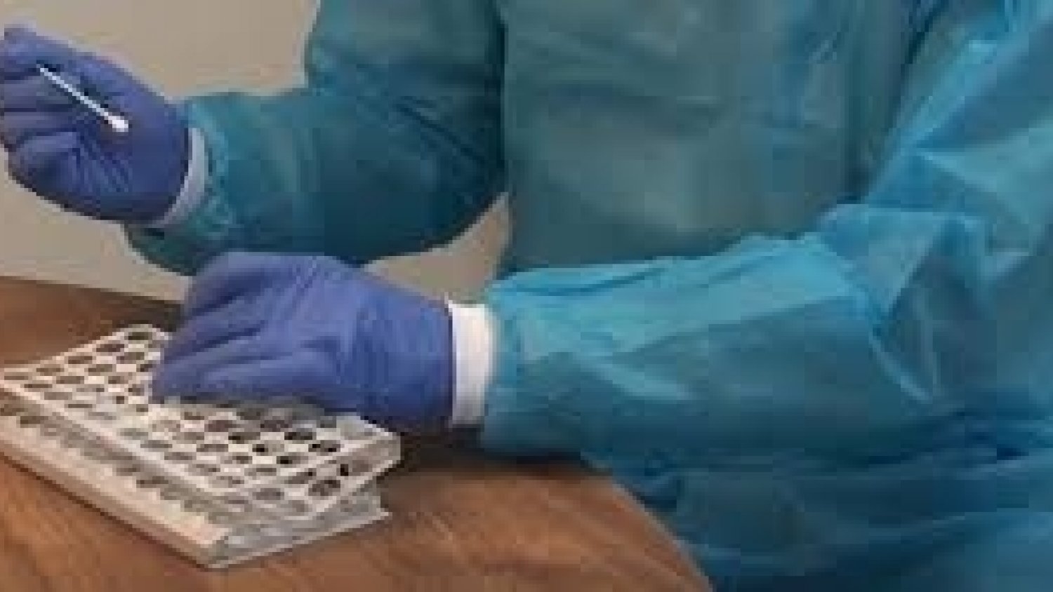 Marbella concentra el 42% de positivos PCR en Málaga en los últimos 14 días