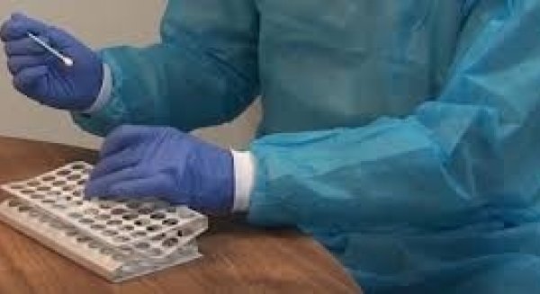Marbella concentra el 42% de positivos PCR en Málaga en los últimos 14 días