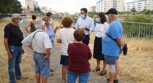 PSOE pide la limpieza del Guadalmedina para frenar la proliferación de colonias de insectos