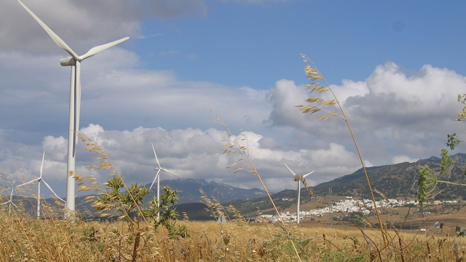 Andalucía ya produce más del 54% de energía eléctrica con fuentes renovables