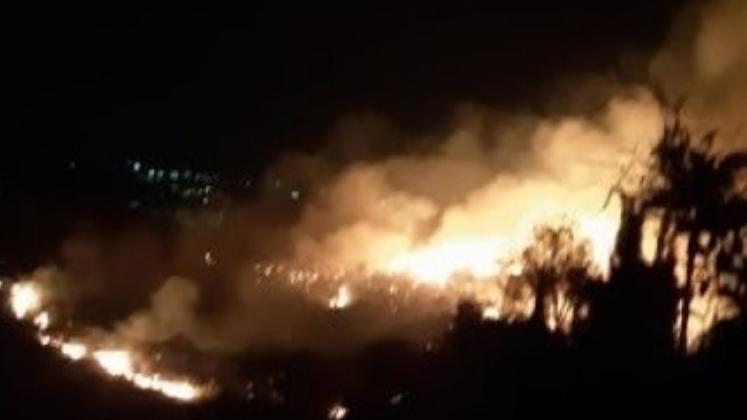Infoca informa que está controlado el incendio forestal en la ciudad de Marbella