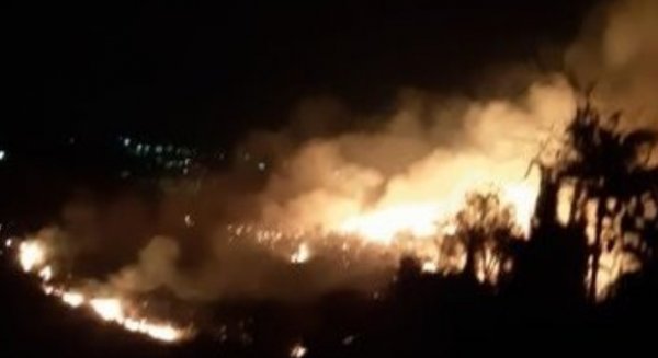 Infoca informa que está controlado el incendio forestal en la ciudad de Marbella