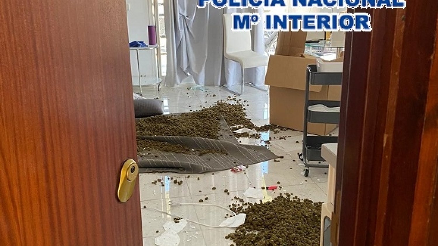 Detenidas ocho personas en Marbella tras una fuerte trifulca en la compraventa de droga entre grupos rivales