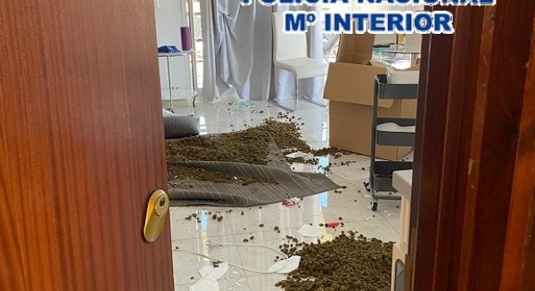 Detenidas ocho personas en Marbella tras una fuerte trifulca en la compraventa de droga entre grupos rivales