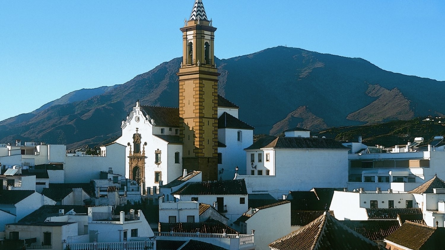 68 personas de Estepona se han beneficiado del programa de prácticas remuneradas para la inserción laboral