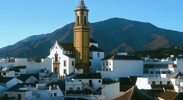 68 personas de Estepona se han beneficiado del programa de prácticas remuneradas para la inserción laboral
