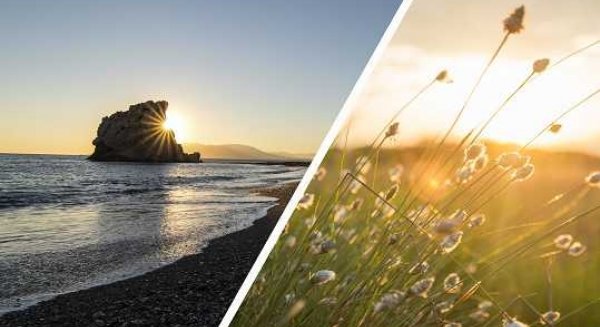 Diputación de Málaga premiará iniciativas contra el cambio climático a través de los Premios Málaga Viva