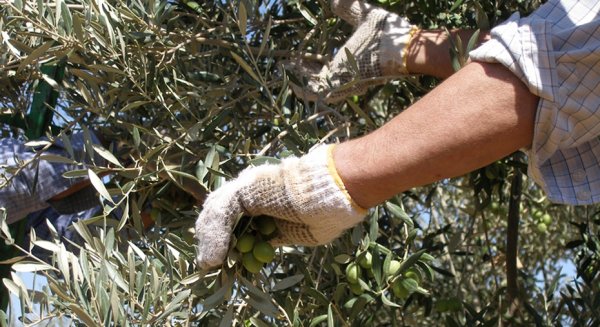 Andalucía lidera el descenso del paro en España en diciembre al descontar 22.280 desempleados