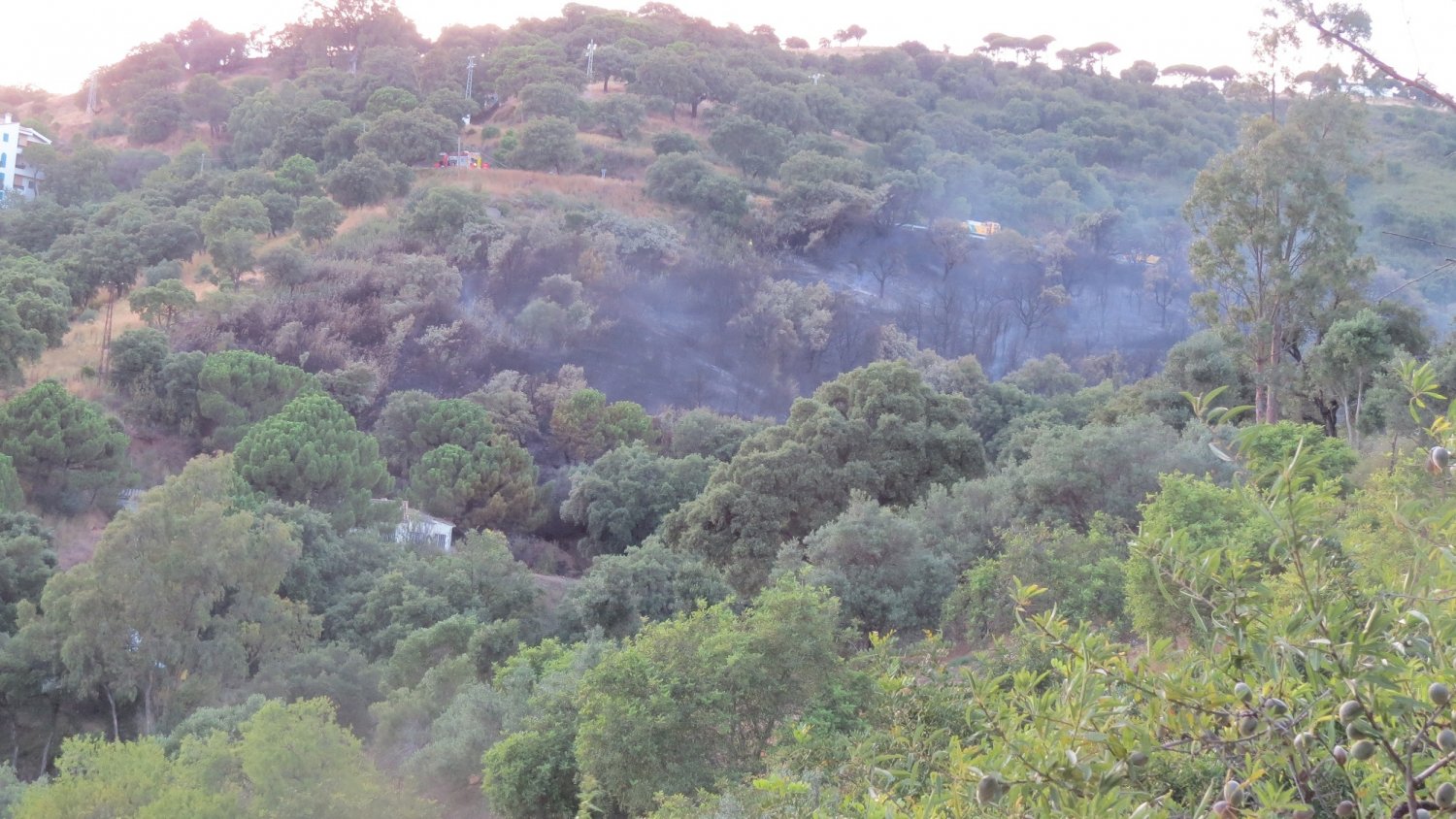 Investigan a un presunto autor del incendio forestal de Casares del pasado 15 de junio