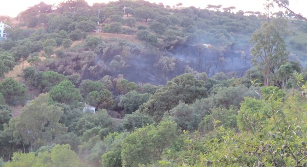 Investigan a un presunto autor del incendio forestal de Casares del pasado 15 de junio